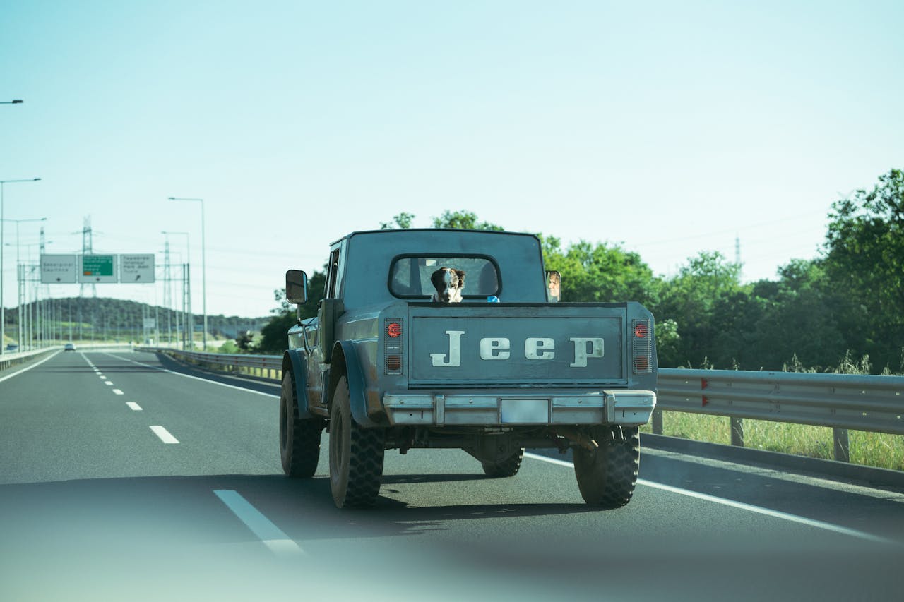A classic Jeep with a dog in the back on an open highway. Perfect for travel themes.